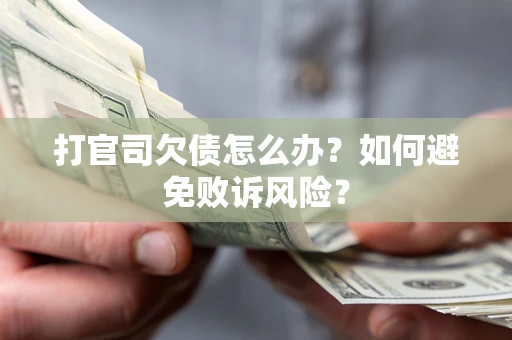 北京打官司欠债怎么办？如何避免败诉风险？