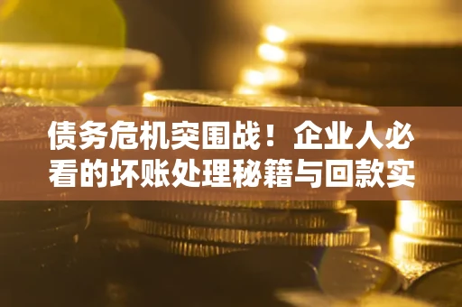北京债务危机突围战！企业人必看的坏账处理秘籍与回款实战指南